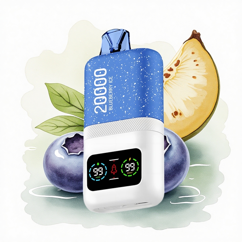Aivono Aim Magic 20000 Puffs Blueberry Ice Dual Mesh 600mAh
