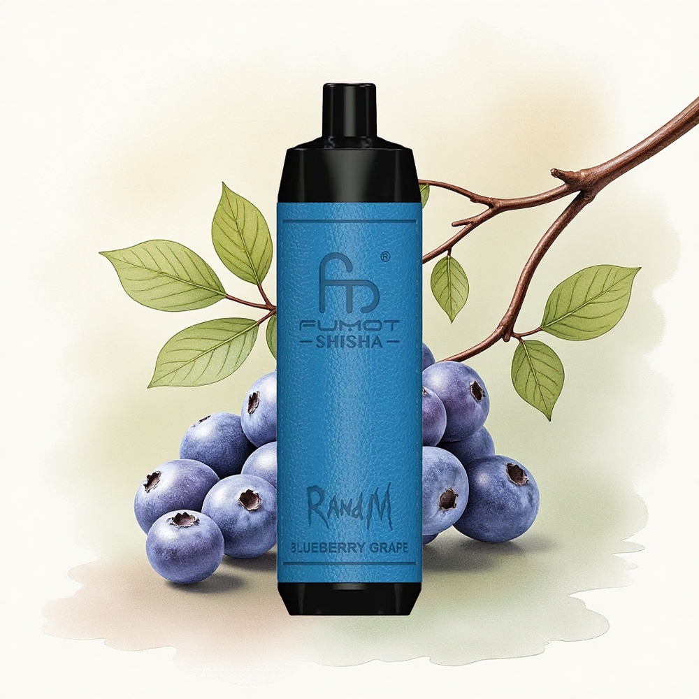 RandM Fumot Shisha 10000 Puffs Blueberry Grape LED 0.6ohm Mesh Coil