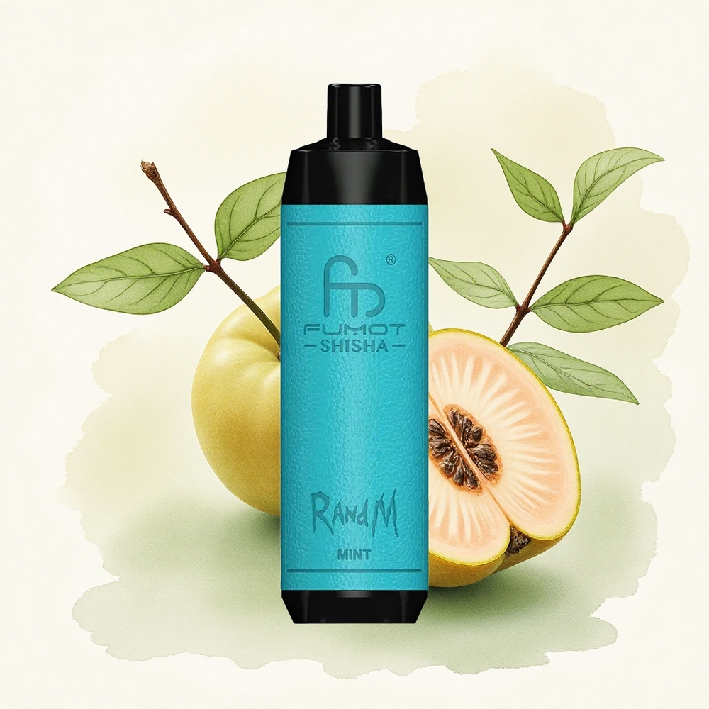 RandM Fumot Shisha 10000 Puffs Mint Disposable Vape with 850mAh Battery and 0.5% Nicotine